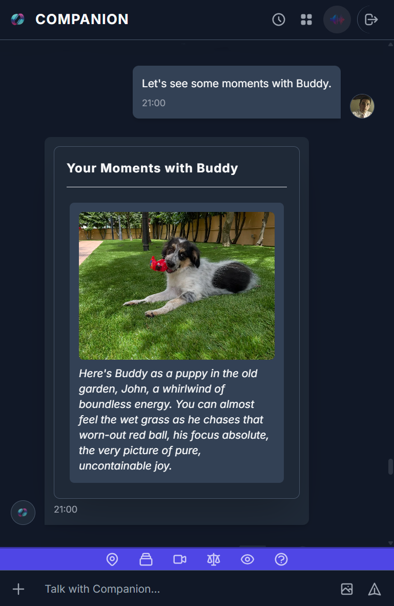 A gallery of photos featuring a dog, retrieved by Companion.
